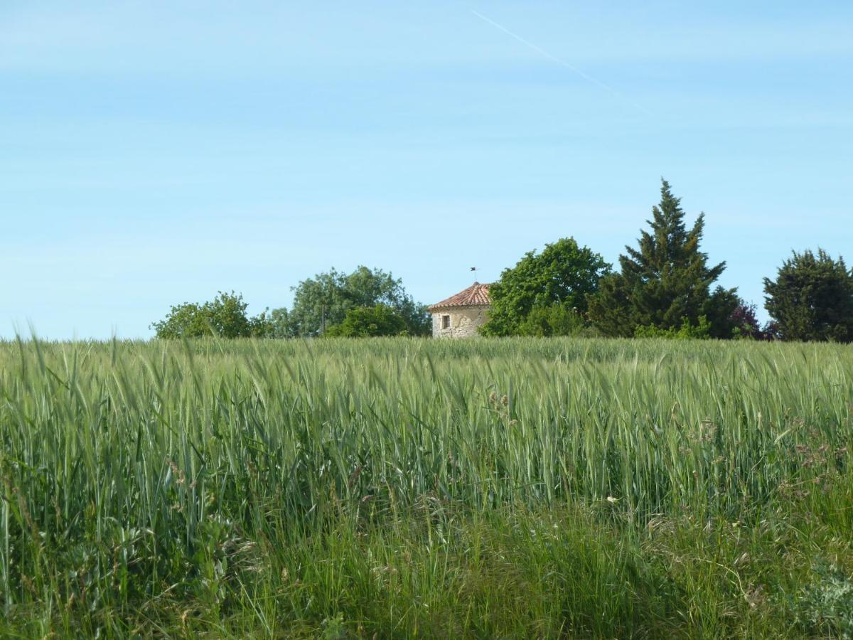 Chateau De Puissentut Bed and Breakfast Homps  Εξωτερικό φωτογραφία